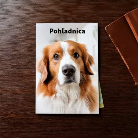 Tlač pohľadníc | bkstudio.sk
